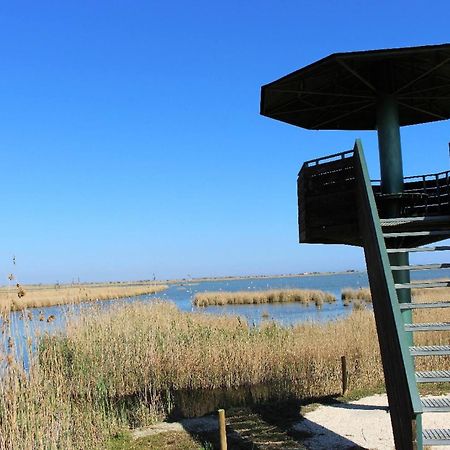 Quet - Casa Rural Con Piscina Privada En El Delta Del Ebro - Deltavacaciones Deltebre Eksteriør bilde
