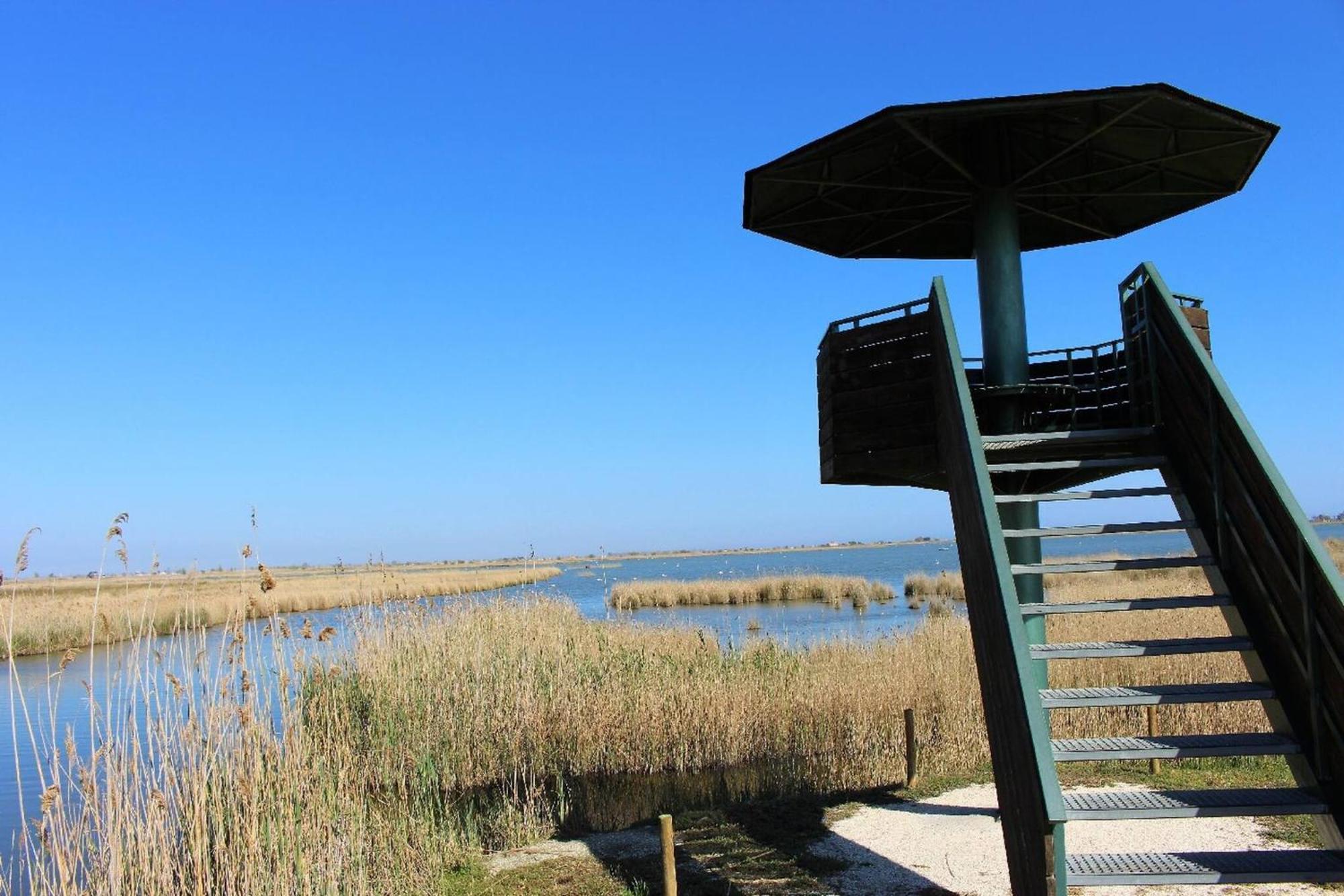 Quet - Casa Rural Con Piscina Privada En El Delta Del Ebro - Deltavacaciones Deltebre Eksteriør bilde